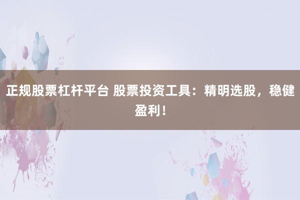 正规股票杠杆平台 股票投资工具：精明选股，稳健盈利！