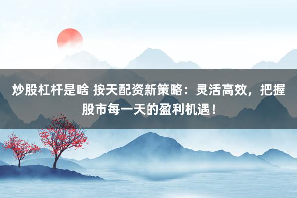 炒股杠杆是啥 按天配资新策略：灵活高效，把握股市每一天的盈利机遇！